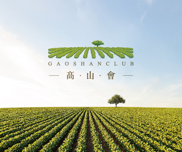 深圳VI設(shè)計(jì)如何在印刷品上體現(xiàn)出色彩效果？